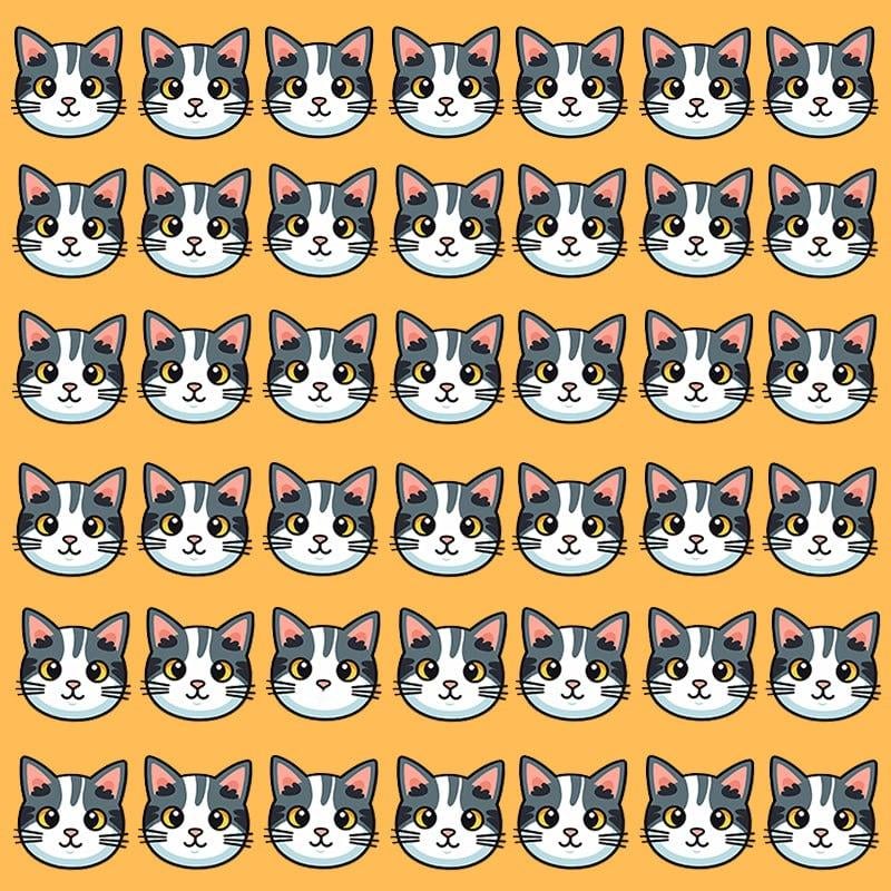 Denne optiske illusion er kun mulig for folk med grandios IQ / Moje image