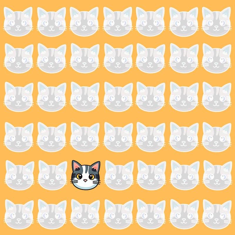 Denne optiske illusion er kun mulig for folk med grandios IQ / Moje image