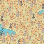 Et puslespil for sjov og opfindsomhed: du skal finde en kylling på 7 sekunder Et puslespil for sjov og opfindsomhed: du skal finde en