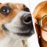 Kun en ægte IQ-titan kan se en hund i sneen på 10 sekunder: en betagende optisk illusion Kun en ægte IQ-titan kan se en hund i sneen