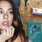 Kun et geni ville finde en hund på gaden på