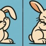 Super IQ-test: Find 3 forskelle på et billede af en kanin på 85 sekunder Super IQ-test: Find 3 forskelle på et billede af en