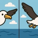 IQ-test: Find 3 forskelle i et billede af en flyvende fugl på 31 sekunder IQ-test: Find 3 forskelle i et billede af en flyvende