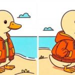 IQ-test: Find 3 forskelle på et billede af en and